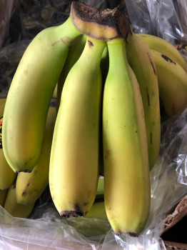 BANANE DES CANARIES