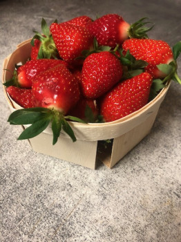 Fraise Clery BQT 500gr