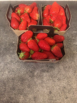 Fraise Gariguette BIO 250gr