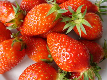 Fraise Gariguette Barquette 250gr