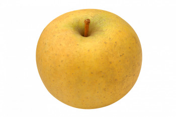 Pomme Chanteclerc (gros calibre)