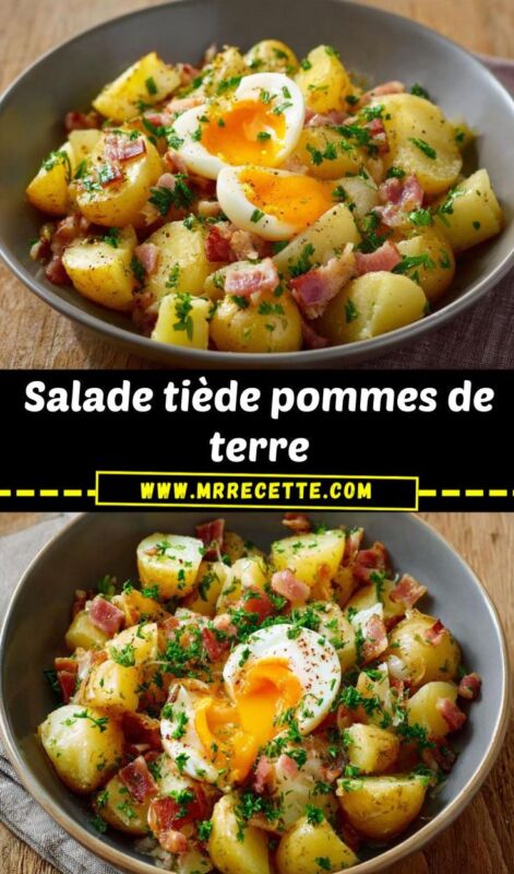 pomme de terre charlotte