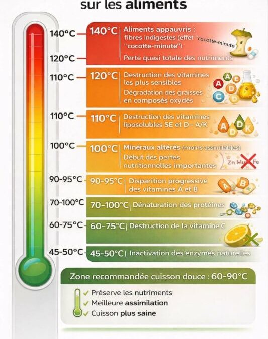 Tableau de Conservation des Aliments sous Vide PDF : Prolongez la Fraîcheur de Vos Repas