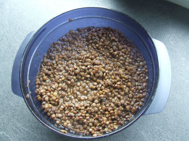 Cuisson rapide lentilles cocotte