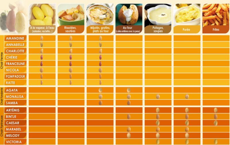 Catalogue officiel pommes de terre