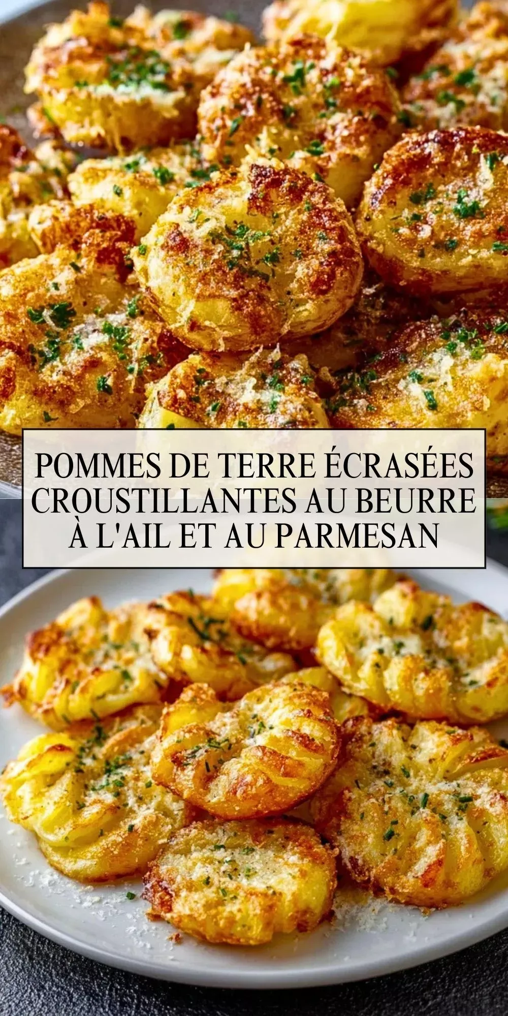 sélection de variétés de pommes