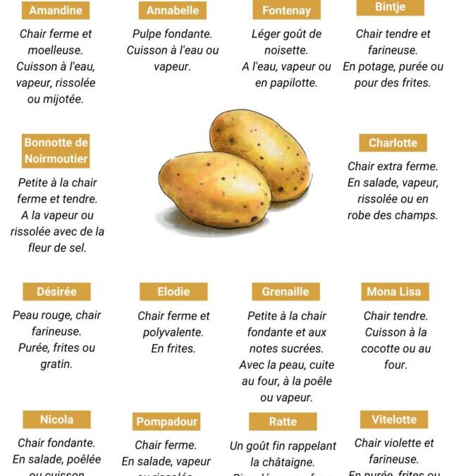 Tableau variété de pomme de terre pdf : guide pratique pour choisir la meilleure option