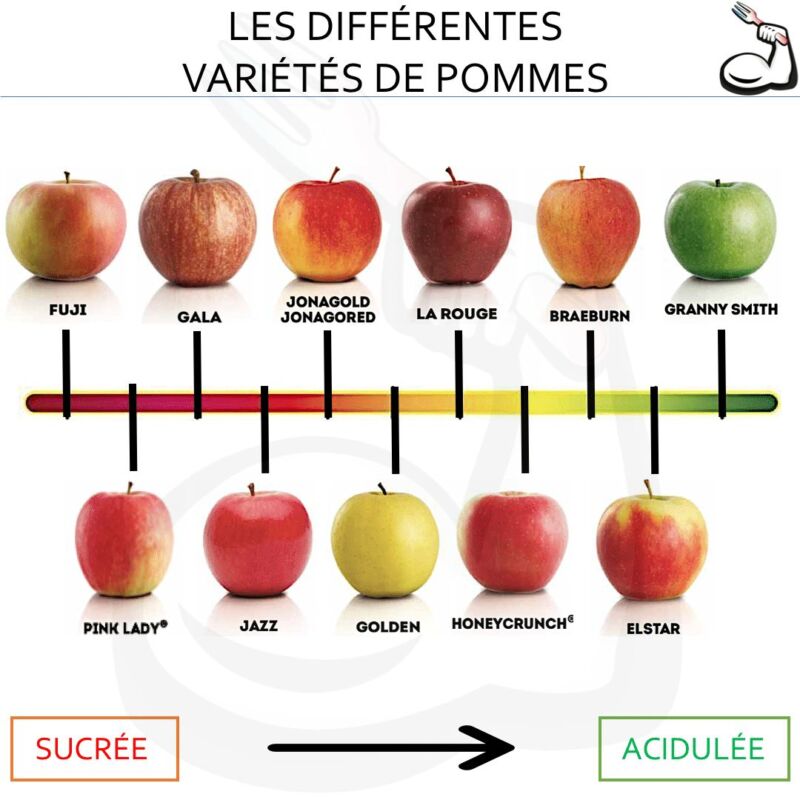 variétés de pommes de terre