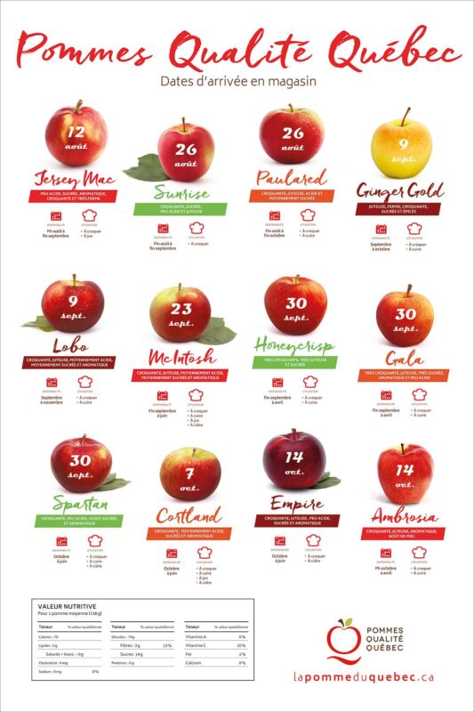 variétés de pommes de terre