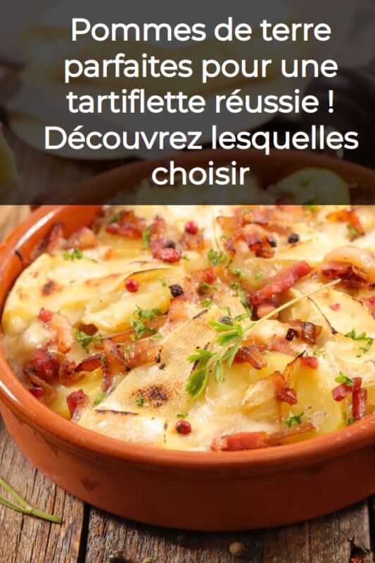 meilleures pommes de terre cuisine