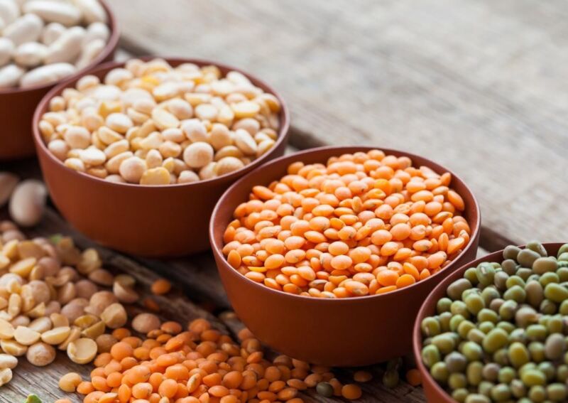 Temps idéal lentilles vertes