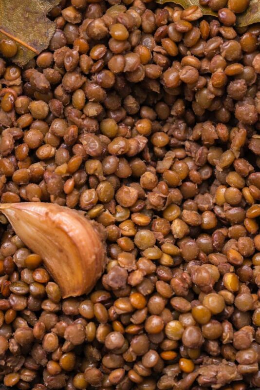 Lentilles vertes cuisson optimale