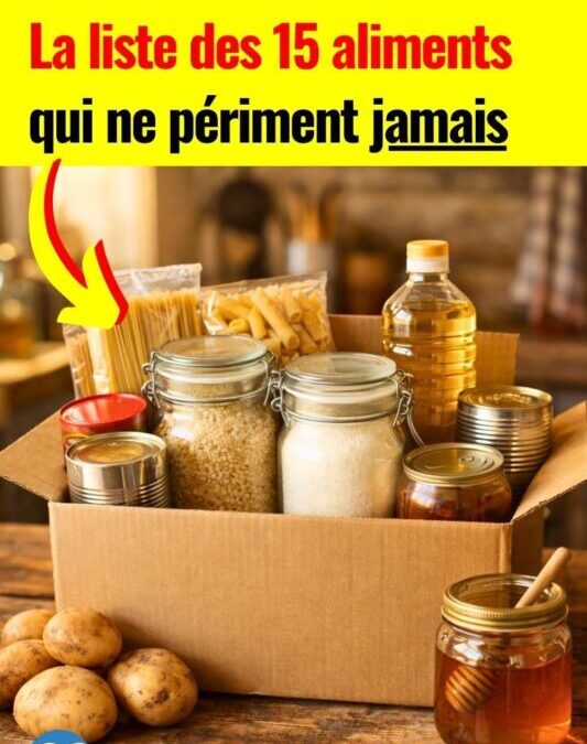 Tableau de Température de Conservation des Aliments : Préservez la Fraîcheur et la Sécurité Alimentaire