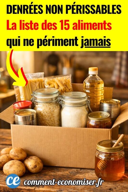 Température idéale aliments