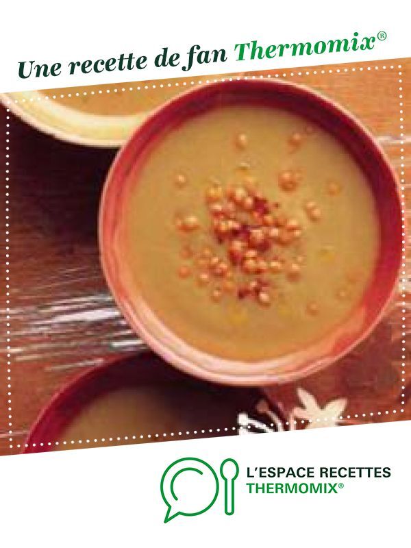 Lentilles au Thermomix réussies