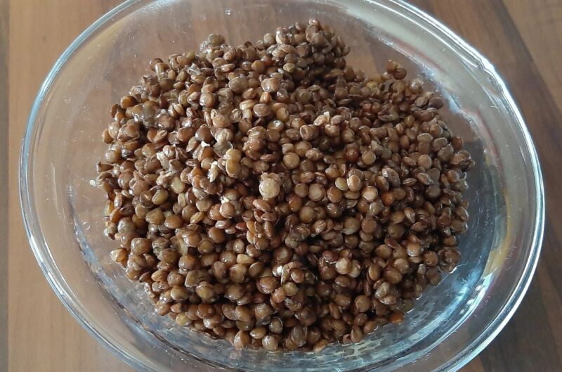 Lentilles brunes temps parfait