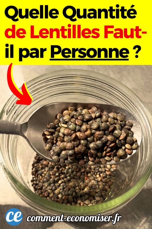 Cuisson idéale lentilles brunes