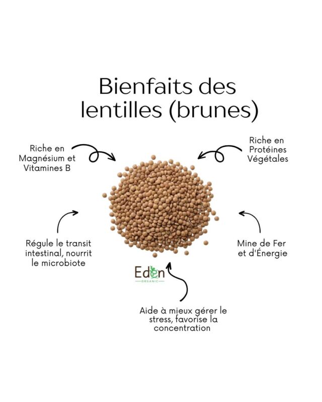 Lentilles brunes temps parfait