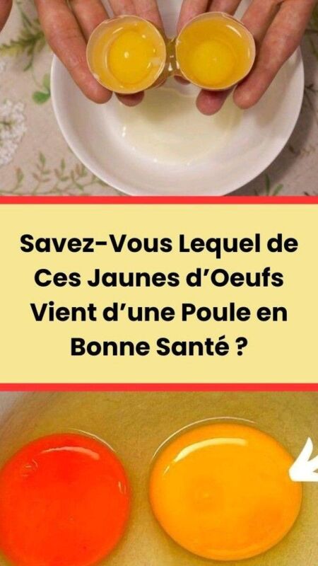 Poids moyen jaune d'œuf