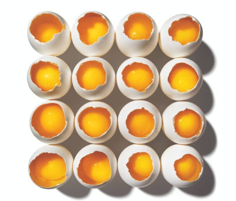 Poids moyen jaune d'œuf