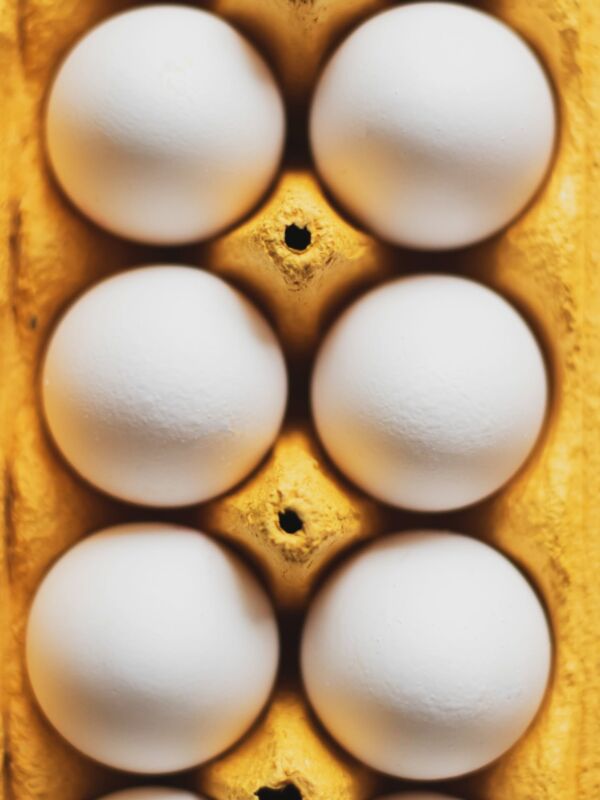 Valeur nutritive jaune d'œuf